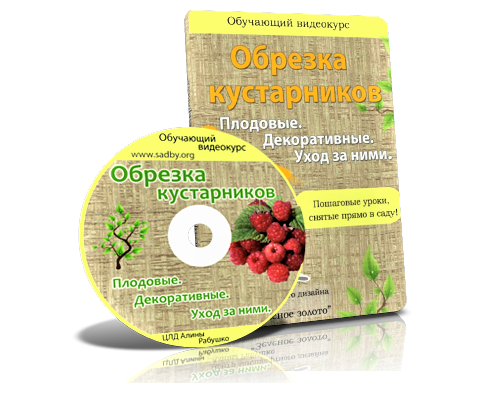 Стоимость Обрезки Кустарников